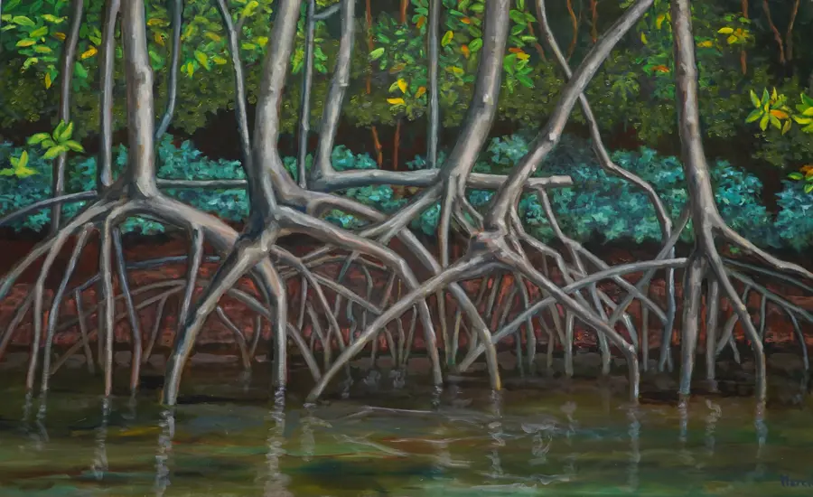 47 Mangrove